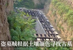 传媒群焦点图