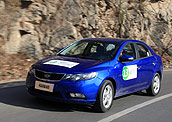 �Գ�,����,����,�Ա�,�Լ�
