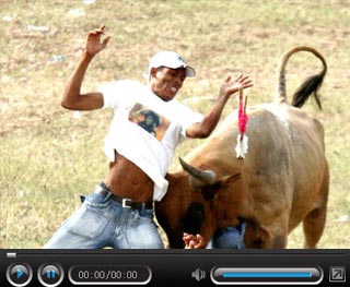 ֱ��-��ţ���𱯾� ��ţʿ���౻�̴�����