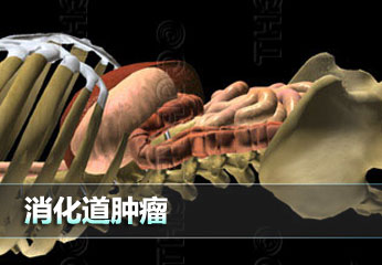 别让癌症猎上你-第16届全国肿瘤防治宣传周