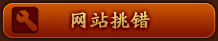 网站挑错