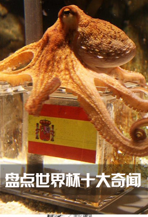 ̵籭ʮ