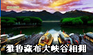 ����³�ز���Ͽ��������ӵ