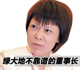 绿大地董事长被捕