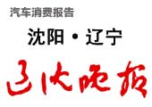 2010沈阳汽车消费报告