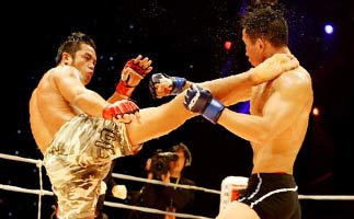 ��������������˲��