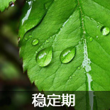 ��ְ Ӧ���� ��ҵ�� ְ��