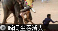 ���󱻱Ʒ輯�帴��