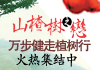 万步健走集结中