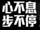 Adidas 2011�ﶬϵ��