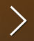 Arrow Next