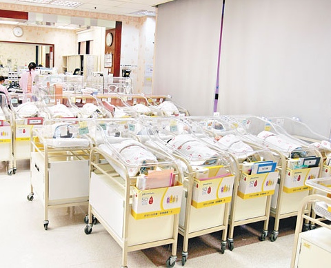 双非孕妇:香港户口比上海户口更好