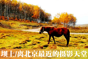 �뱱���������Ӱ���� ľ��Χ������