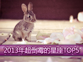 2013�곬��ù������TOP5