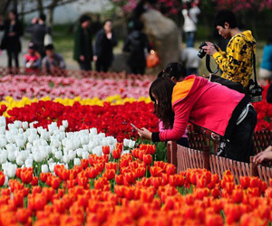 菲律宾总统称自己有中国血统 希望加强菲中关