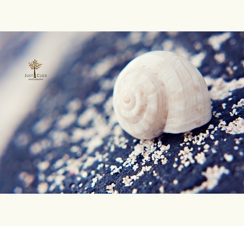 12星座7月16日-7月22日一周时尚运势(10)