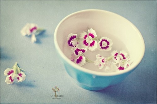 12星座7月16日-7月22日一周时尚运势(6)