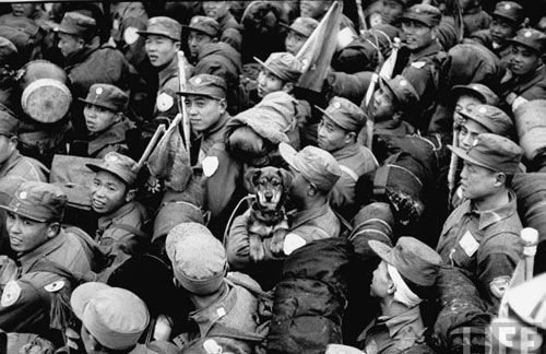 志愿军战俘口述亲身经历 为何大多数人去了台