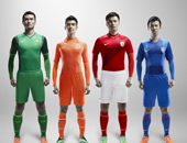 2014�г�������ʽ����