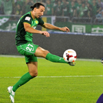 ����˫����