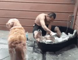 250_194 gif 动态图 动图