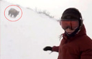女子滑雪不知遭野熊尾随